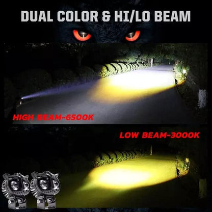 HJG New Model Owl Fog Light For Bike/Car/Thar/Jeep ( Cool White, 40W each * 2 = 80W Total ) - Pack of 2 - bikerstore.in