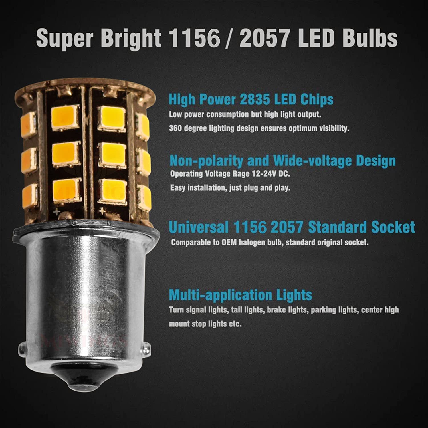 12 volt automotive 2024 light bulbs